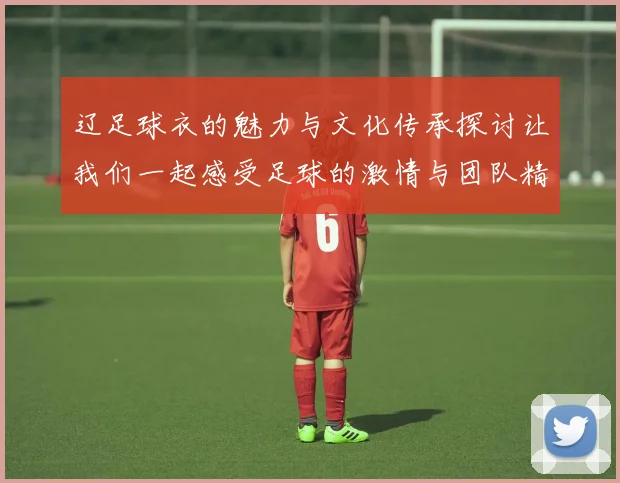 辽足球衣的魅力与文化传承探讨让我们一起感受足球的激情与团队精神