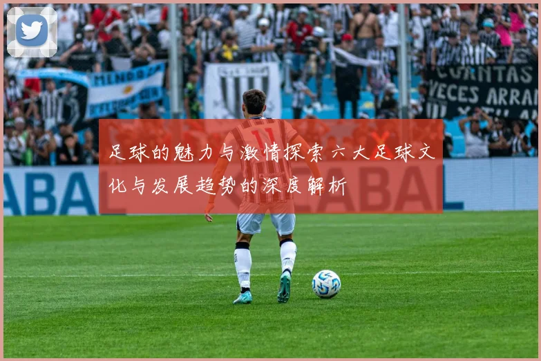 足球的魅力与激情探索六大足球文化与发展趋势的深度解析