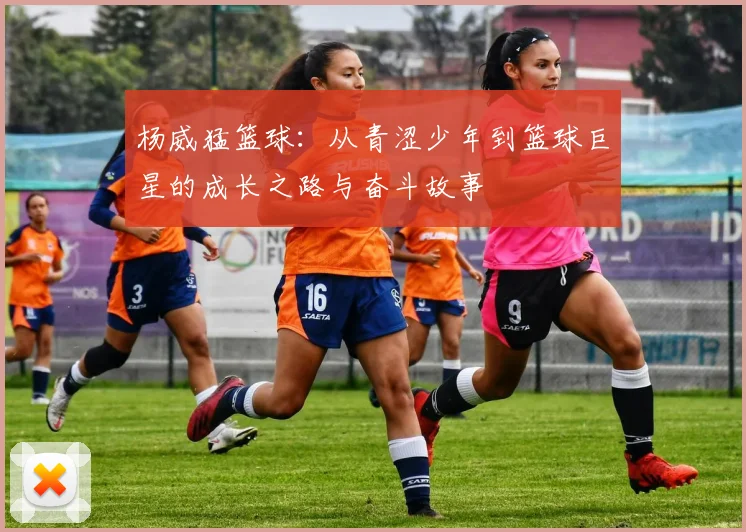 杨威猛篮球：从青涩少年到篮球巨星的成长之路与奋斗故事