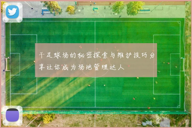 干足球场的秘密探索与维护技巧分享让你成为场地管理达人